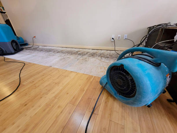 Professional Structural Drying technician working in Standish, MI
